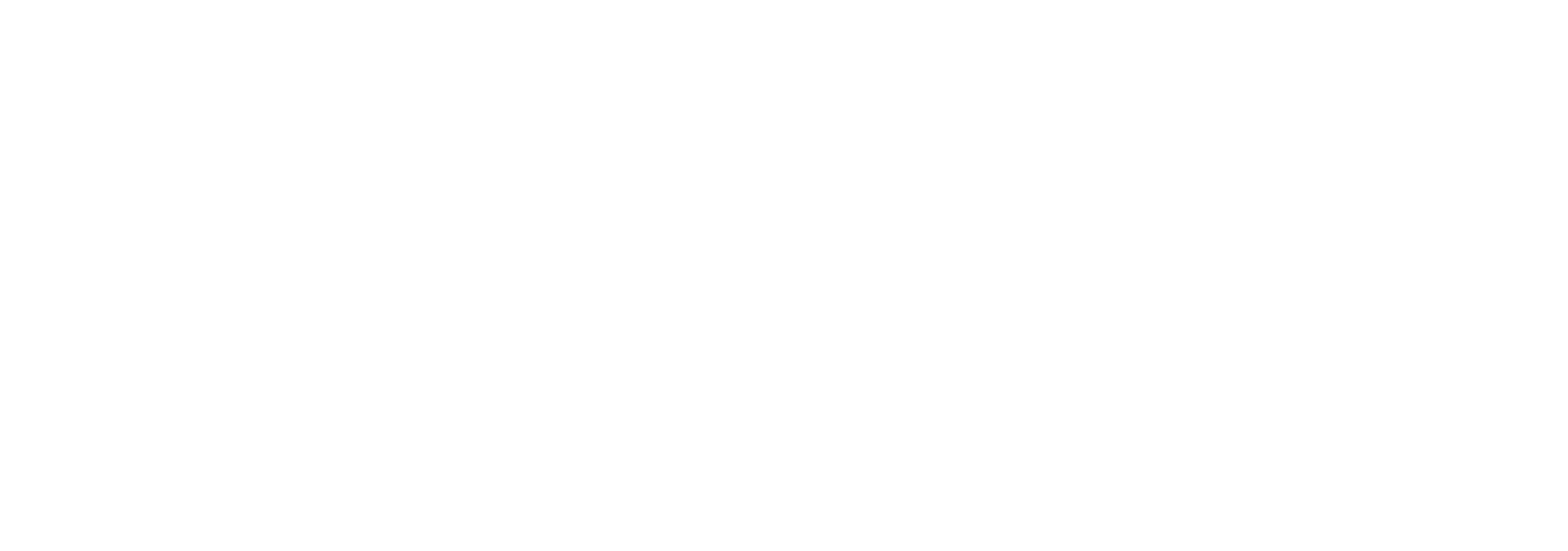 Ness Sport Global
