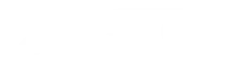 NSG Next logo